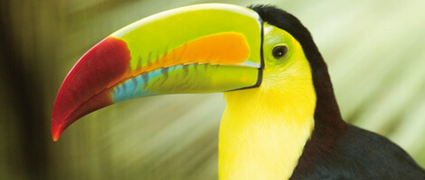 Grivory GVX - Metal replacement at the highest level Grivory GVX - Metal replacement at the highest level