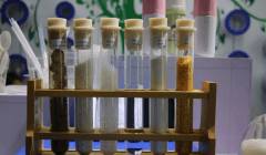 什么是完全生物降解塑料?